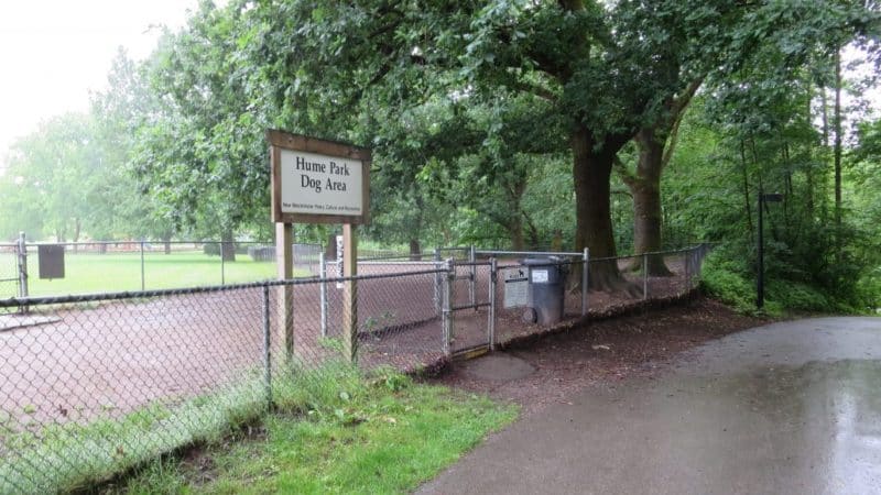 Hume Park (off-Leash dog park) New Westminster, BC