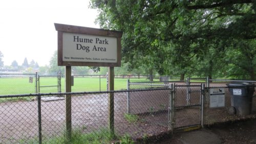 Hume park off-leash dog park, new westminster, bc