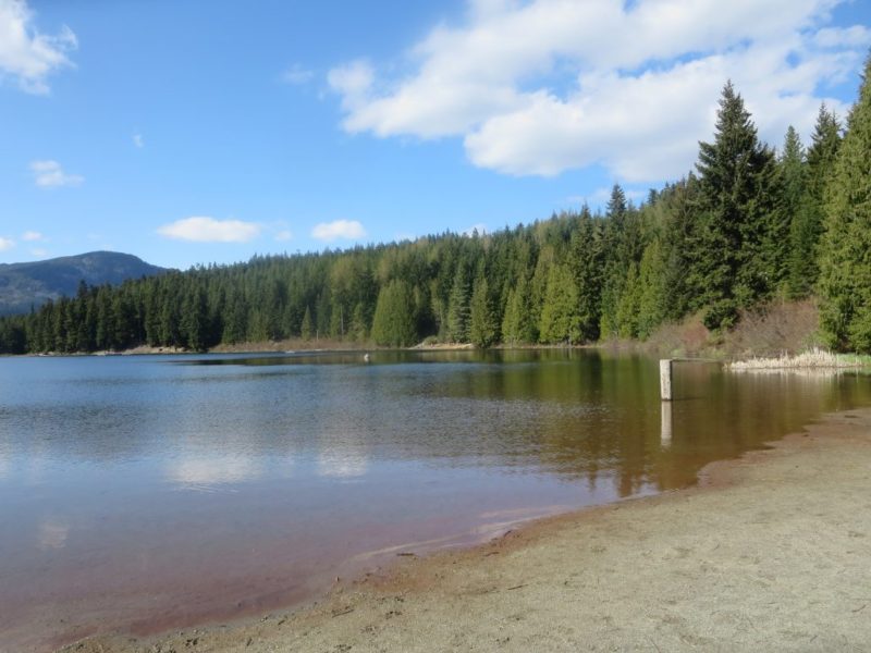 Lost Lake Off-Leash Dog Park (Canine Cove), Whistler, BC
