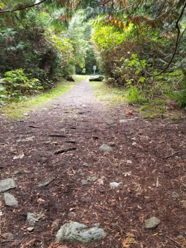Whytecliff park, west vancouver, bc - trail to the upper parking lot