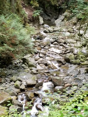 Cypress falls park, west vancouver, bc - riverbed