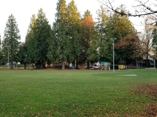 Riley park, vancouver, bc (on-leash)