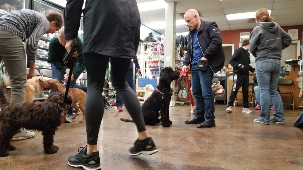 Simply natural raw pet food store - puppy class (2) -2018-march