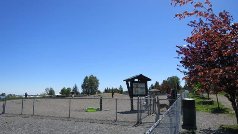 Beban Park (off-leash dog park), Nanaimo, BC