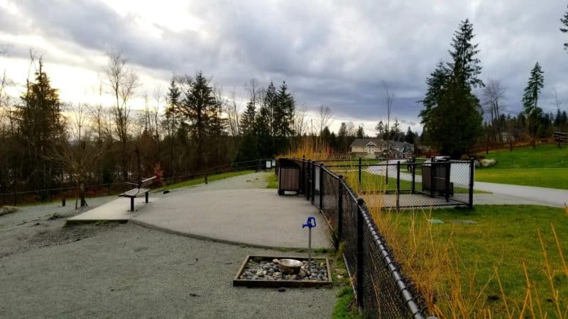 Leigh Park (off-leash dog park), Coquitlam, BC