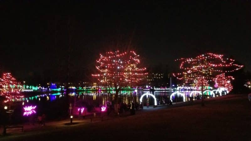 Lights at lafarge park, coquitlam, bc (10)