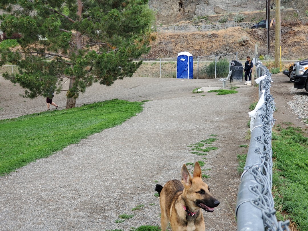 Ord Road Park (offleash dog park), Kamloops, BC The Dog Network