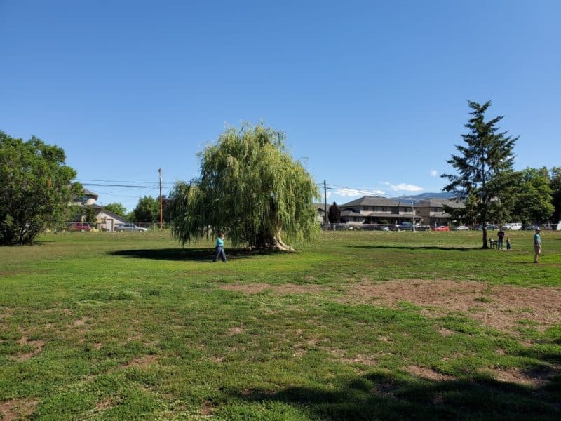 Rutland Recreation Park (off-leash dog park), Kelowna, BC