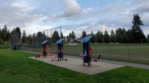 Westhill off-leash dog park (hike) - port moody - bc (10)