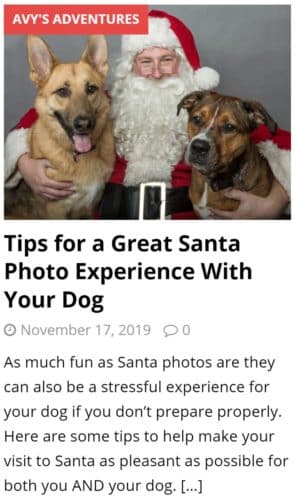 Tips for a great santa photo experience with your dog