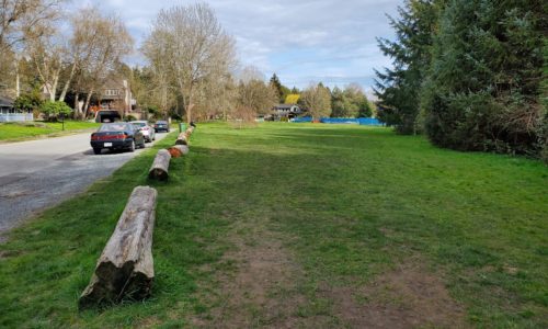Musqueam off-leash dog park - vancouver - bc