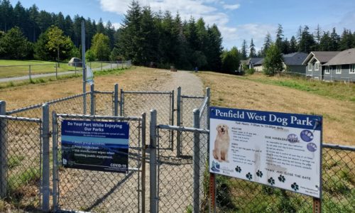 Penfield west off leash dog park campbell river bc 3