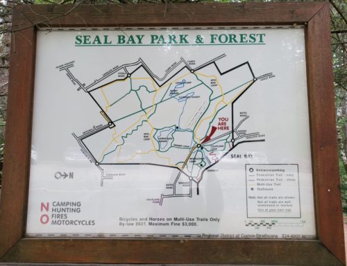 Seal bay nature park off leash dog park comox bc 1
