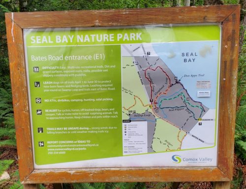 Seal bay nature park off leash dog park comox bc 7