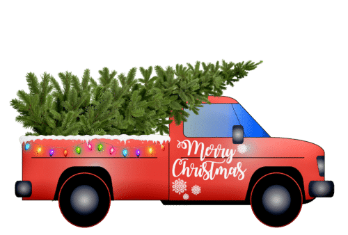 Christmas Tree in Back of Truck