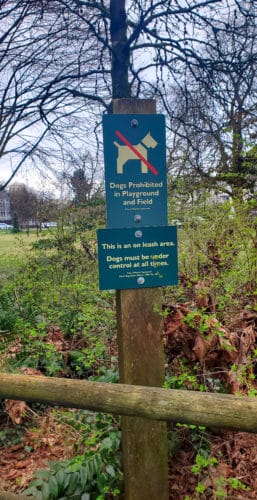 A sign indicating that dogs are not allowed in the sports field area.