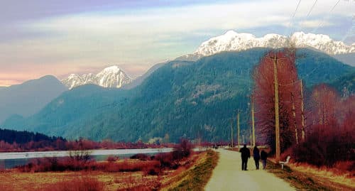 View of the mountains from the north dike trail (off-leash), pitt meadows, bc (5)