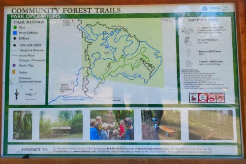 Chilliwack community forest (off-leash trails), chilliwack, bc (6)
