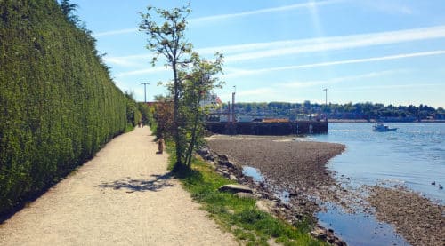 A picture of the trail and the mouth of the creek at harbourview off-leash dog park, north vancouver, bc