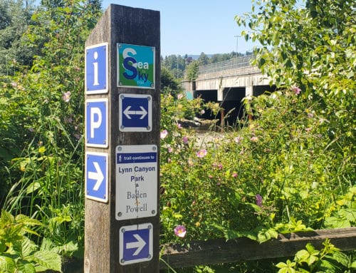 A picture of a sign post on the trail indicating that the trail continues to the baden powell trail and lynn canyon park at harbourview off-leash dog park, north vancouver, bc