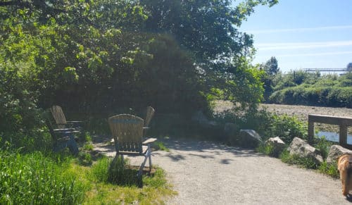 A picture of adirondack chairs overlooking lynn creek at harbourview off-leash dog park, north vancouver, bc