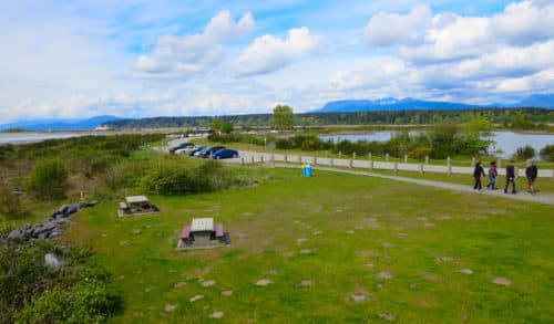 A picture of the picnic area and parking at iona beach regional park (off-leash path) richmond, bc