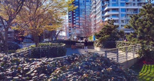A picture of the off-leash area in ketcheson neighbourhood park in richmond, bc
