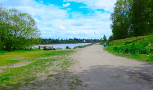A picture of the path leading to the beach at mcdonald beach off-leash dog park in richmond, bc