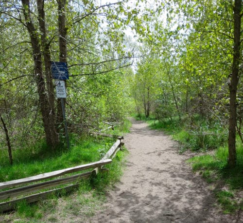 A picture of an off-leash trail leading into the woods at mcdonald beach off-leash dog park in richmond, bc