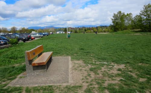 A picture of the unfenced grass field at mcdonald beach off-leash dog park in richmond, bc