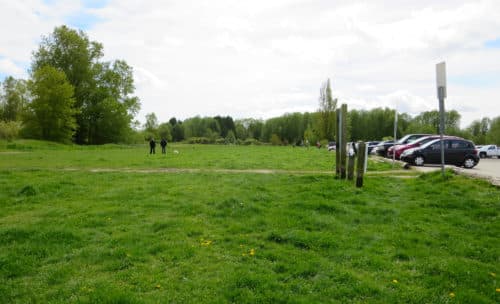 A picture of the large grass field next to the parking lot at mcdonald beach off-leash dog park in richmond, bc