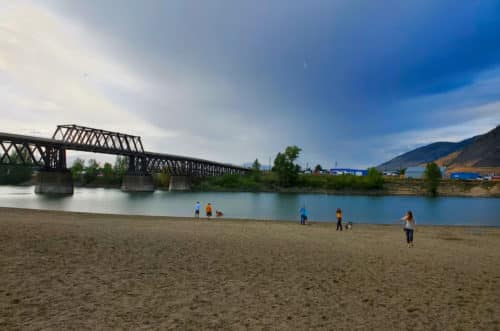 A picture of a beach with a bridge crossing the water and people and dogs playing.