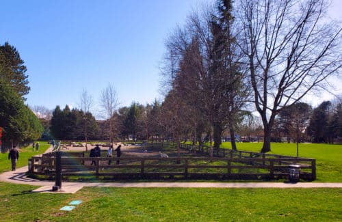 A picture of the off-leash enclosure at south arm community park in richmond, bc