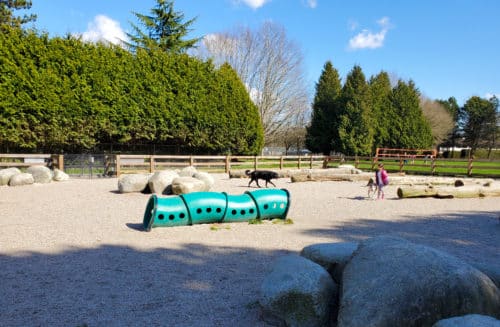 A picture of an agility tunnel at the south arm community park dog park enclosure.
