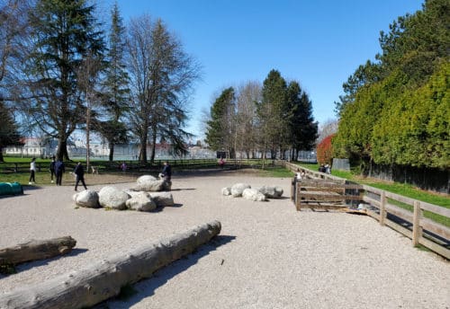 A picture of the dog park at south-arm community park. There are boulders and logs placed for the dogs to play on.