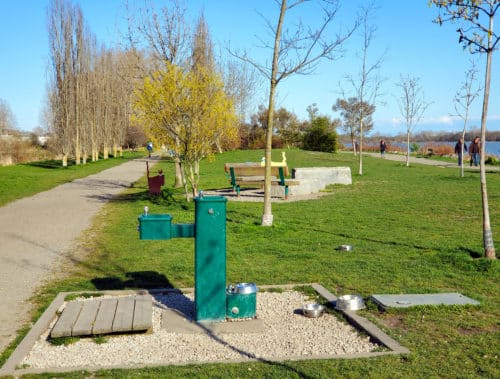 A picture of the park, water fountain and path at the south dyke off-leash dog park in richmond, bc