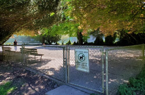 The north entrance into stanley park off-leash dog park, vancouver, bc