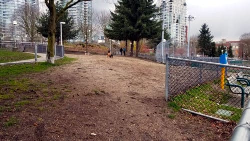 The dog off-leash space at andy livingston park in vancouver, bc