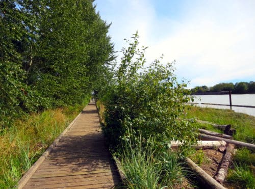 A boardwalk next to the river