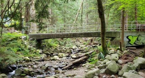 A picture of the concrete bridge over the creek at hunter creek park (off-leash trails), north vancouver, bc