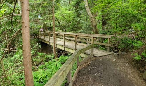 A picture of one of the wooden bridges in hunter creek park (off-leash trails), north vancouver, bc