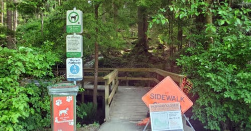A picture of the trailhead to the off-leash trail at myrtle park off-leash dog park, north vancouver, bc