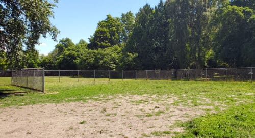 A picture of the inside of the dog park at steveston community park