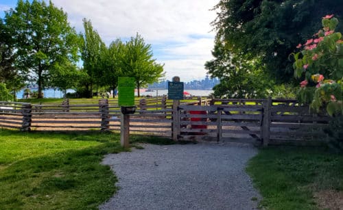 A picture of the entrance into the fenced enclosure at waterfront off-leash dog park, north vancouver, bc