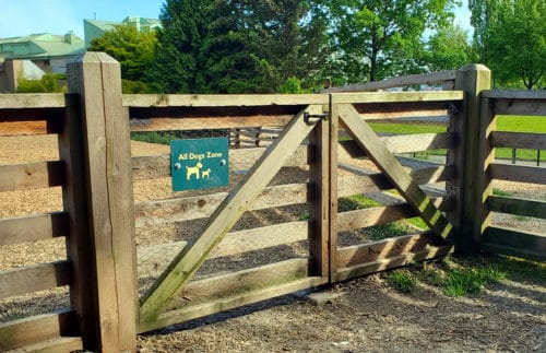 A picture of the entrance into the main enclosure at waterfront off-leash dog park, north vancouver, bc