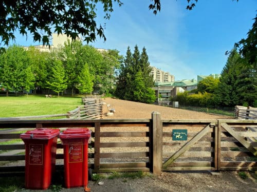 A picture of the main enclosure at waterfront off-leash dog park, north vancouver, bc