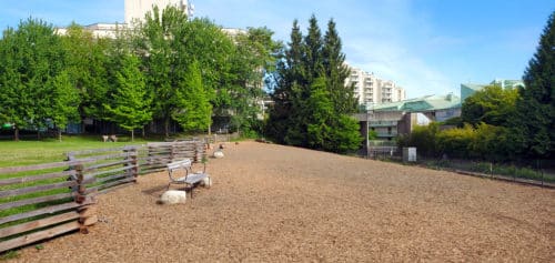 A picture of the main enclosure at waterfront off-leash dog park, north vancouver, bc