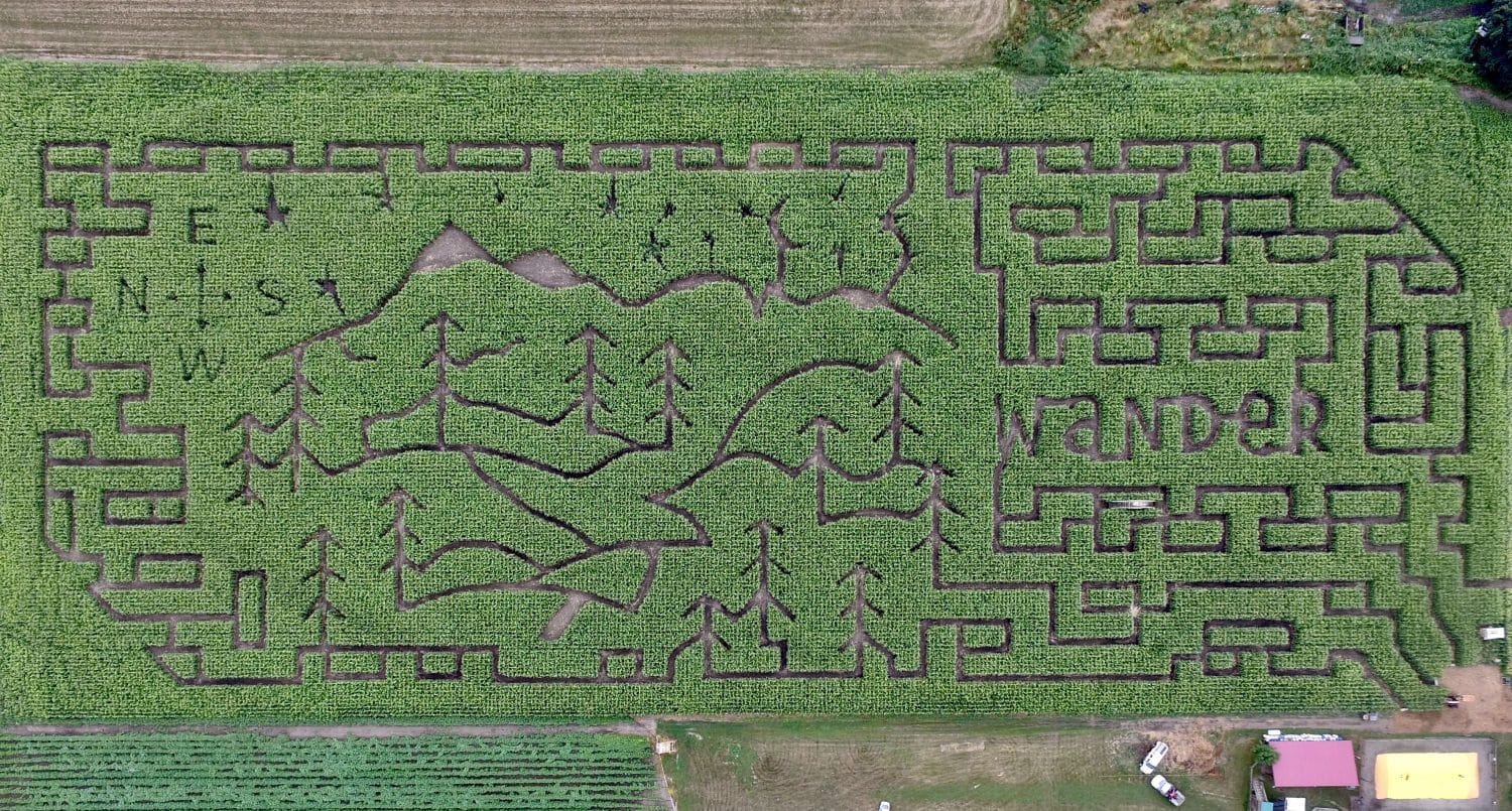 Chilliwack corn maze design 2021