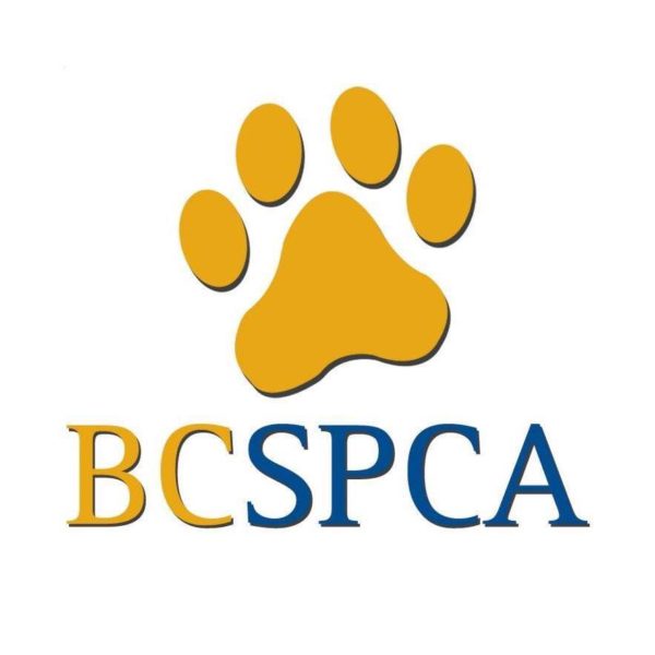 BC SPCA – On-line Store, British Columbia