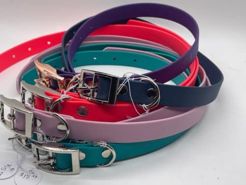 Charlie and mabel collars